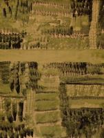 Arturo Guerrero Paintings