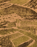 Arturo Guerrero Paintings
