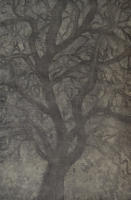 Arturo Guerrero Paintings