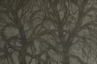 Arturo Guerrero Paintings