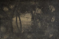 Arturo Guerrero Paintings