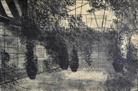 Arturo Guerrero Paintings
