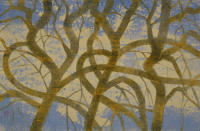 Arturo Guerrero Paintings